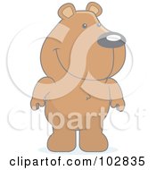 Poster, Art Print Of Cute Standing Bear