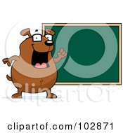Teacher Dog Pointing To A Chalk Board