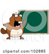 Teacher Beaver Pointing To A Chalk Board