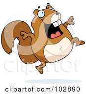 Poster, Art Print Of Happy Jumping Squirrel