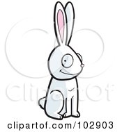 Alert Sitting White Rabbit