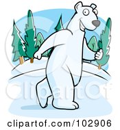 Polar Bear Walking Upright