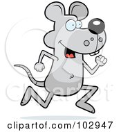 Poster, Art Print Of Running Gray Mouse