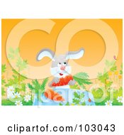 Poster, Art Print Of Rabbit Dining On Carrots