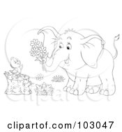 Poster, Art Print Of Coloring Page Outline Of An Elephant Giving Flowers To A Chick On A Stump