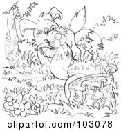 Royalty Free RF Clipart Illustration Of A Coloring Page Outline Of A Dog Biting A Fox Tail by Alex Bannykh
