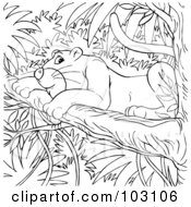 Poster, Art Print Of Coloring Page Outline Of A Jaguar In A Tree