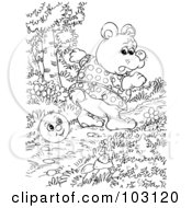 Poster, Art Print Of Coloring Page Outline Of A Bear Watching A Happy Ball