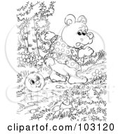 Royalty Free RF Clipart Illustration Of A Coloring Page Outline Of A Bear Watching A Happy Ball