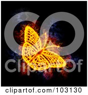 Poster, Art Print Of Blazing Butterfly Symbol