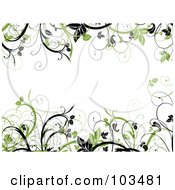 Poster, Art Print Of Green And Black Leafy Vines Framing A White Background