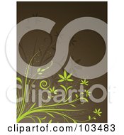 Poster, Art Print Of Green And Brown Vines On A Brown Background
