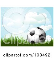 Soccer Ball On Grass Under A Sunny Blue Sky