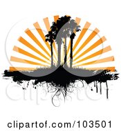 Poster, Art Print Of Orange Sunset Rays Silhouetting Palm Trees And Grass With Dripping Grunge