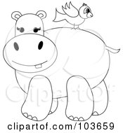 Poster, Art Print Of Coloring Page Outline Of A Bird On A Hippos Back