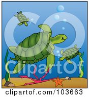 Poster, Art Print Of Green Sea Turtle Watching Over Babies In The Ocean