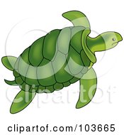 Royalty Free RF Clipart Illustration Of A Green Sea Turtle Swimming 1 by Pams Clipart