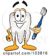Royalty Free RF Clipart Illustration Of A Tooth Mascot Cartoon Character Holding Out A Tooth Brush