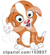 Poster, Art Print Of Cute Puppy Smiling And Presenting With One Paw