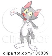 Poster, Art Print Of Cute Gray Cat Standing Talking Into His Tail And Presenting With One Paw