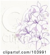 Poster, Art Print Of Purple Lilies And Splatters