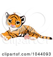 Poster, Art Print Of Cute Baby Tiger Resting