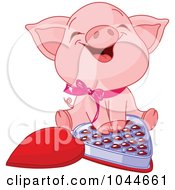 Cute Piglet Laughing Over A Box Of Valentines Day Chocolates