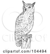 Poster, Art Print Of Sketched Eagle Owl On A Post