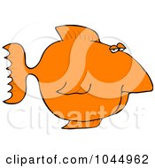 Poster, Art Print Of Orange Fish With A Big Nose