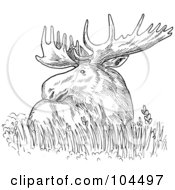 Poster, Art Print Of Sketched Moose Resting In Grass