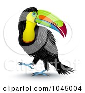 3d Toucan Bird Looking Back Over Its Shoulde