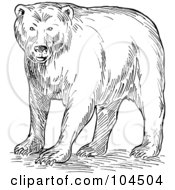 Royalty Free RF Clipart Illustration Of A Sketched Brown Bear