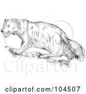 Royalty Free RF Clipart Illustration Of A Sketched Wolverine by patrimonio