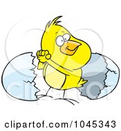 Poster, Art Print Of Cartoon Victorious Chick By An Egg Shell