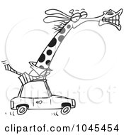 Royalty Free RF Clip Art Illustration Of A Cartoon Black And White Outline Design Of A Business Rhino Commuting By Car by toonaday