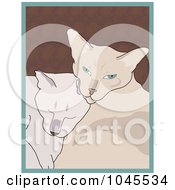 Siamese Cats Cuddling
