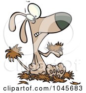 Royalty Free RF Clip Art Illustration Of A Cartoon Dog With Alopecia Sitting On A Pile Of Hair by toonaday
