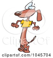 Royalty Free RF Clip Art Illustration Of A Cartoon Wiener Dog Wearing A Short T Shirt by toonaday