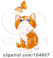 Cute Orange Kitten Looking Up At A Flying Butterfly