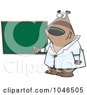 Royalty Free RF Clip Art Illustration Of A Cartoon Presenter Bear By A Chalkboard
