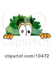 Tree Mascot Cartoon Character Peeking Over A Surface