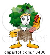 Tree Mascot Cartoon Character Holding A Telephone