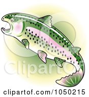 Poster, Art Print Of Rainbow Trout Over Green