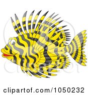 Black And Yellow Marine Fish