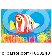Royalty Free RF Clip Art Illustration Of A Red Black White And Yellow Marine Fish Over A Coral Reef