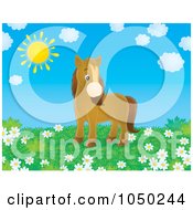 Royalty Free RF Clip Art Illustration Of A Pony In A Pasture Of Daisies