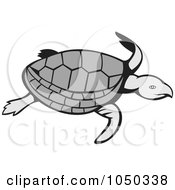 Poster, Art Print Of Swimming Turtle