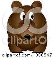 Poster, Art Print Of Brown Bear With A Worried Expression