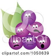 Royalty Free RF Clip Art Illustration Of A Bunch Of Sour Purple Grapes