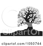 Poster, Art Print Of Background Of A Silhouetted Bare Tree Over White